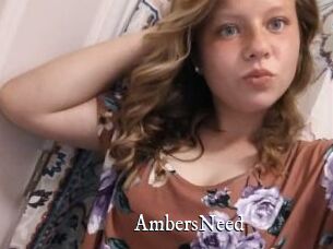 AmbersNeed