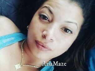 Aria_Maze