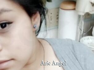 Arie_Angel