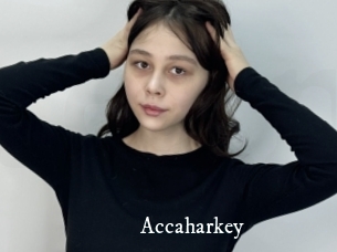 Accaharkey