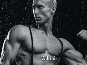 Adonis_