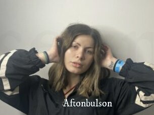 Aftonbulson