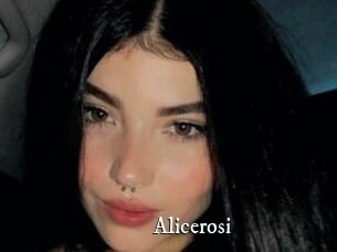 Alicerosi