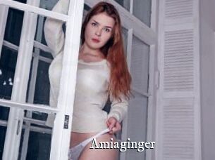 Amiaginger