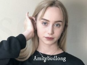 Amitybudlong