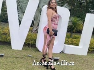 Antonellawilliam