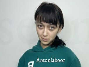 Antoniaboor