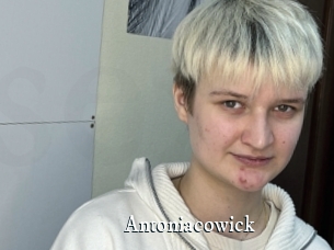 Antoniacowick