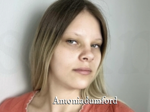 Antoniadumford