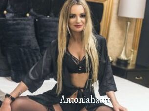 Antoniahaart