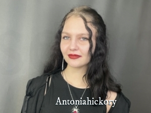 Antoniahickory