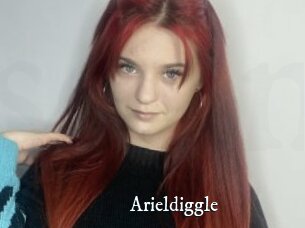 Arieldiggle