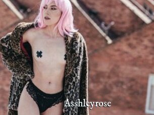 Asshleyrose