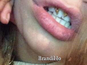 BrandiHo