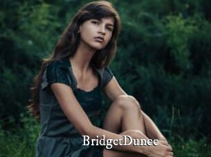 BridgetDunce