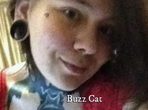 Buzz_Cat