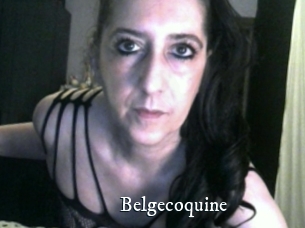 Belgecoquine