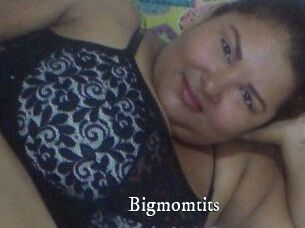 Bigmomtits