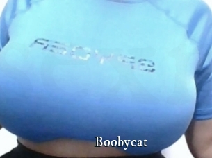 Boobycat