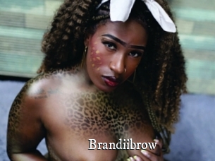 Brandiibrow