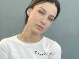 Breeganet