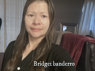 Bridget_banderro