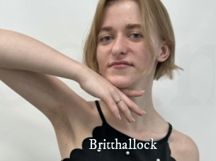 Britthallock