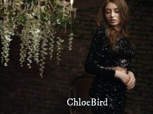 ChloeBird