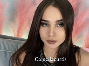 Cameliacurtis