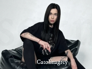 Catolinagrey