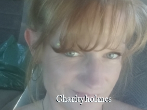 Charityholmes