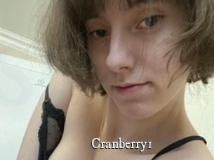 Cranberry1