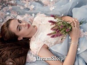 DreamSleep