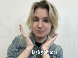 Daisyblumer
