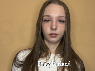 Daisyburland