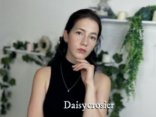 Daisycrosier