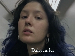 Daisycurles