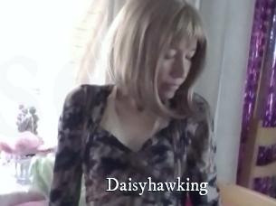 Daisyhawking