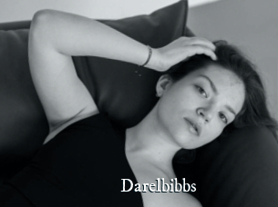 Darelbibbs