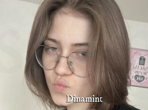 Dinamint