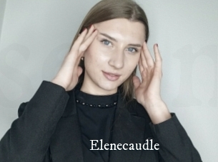 Elenecaudle