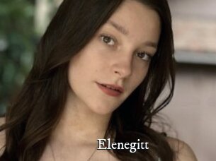 Elenegitt