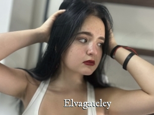 Elvagateley