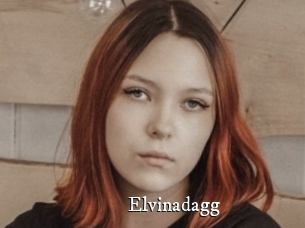 Elvinadagg