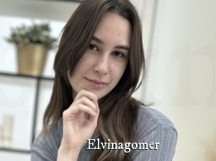 Elvinagomer