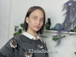 Elwinefountain