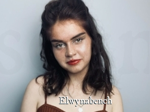 Elwynabench