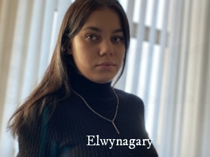 Elwynagary