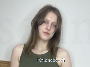 Erlenebeech