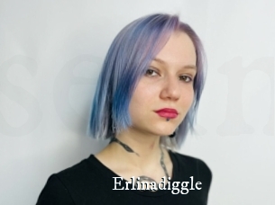 Erlinadiggle